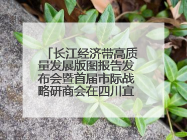长江经济带高质量发展版图报告发布会暨首届市际战略研商会在四川宜宾成功举办