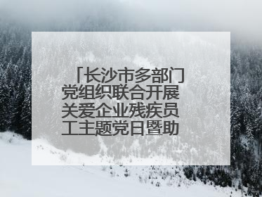 长沙市多部门党组织联合开展关爱企业残疾员工主题党日暨助残日特别活动