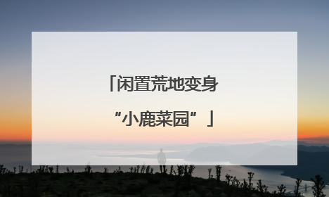 闲置荒地变身“小鹿菜园”