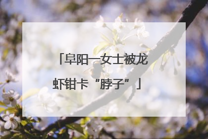 阜阳一女士被龙虾钳卡“脖子”