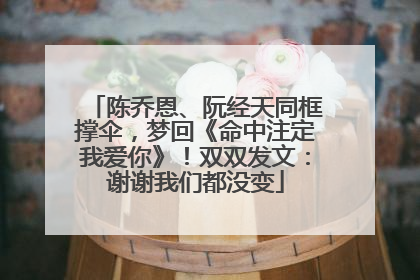 陈乔恩、阮经天同框撑伞，梦回《命中注定我爱你》！双双发文：谢谢我们都没变