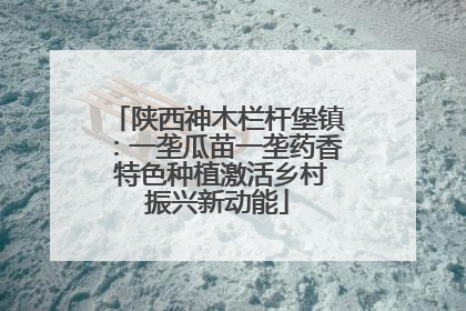 陕西神木栏杆堡镇：一垄瓜苗一垄药香 特色种植激活乡村振兴新动能