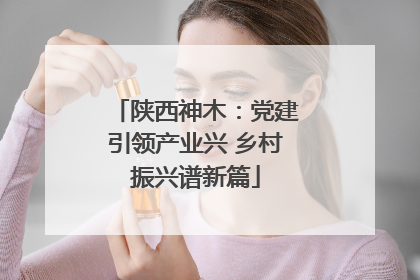 陕西神木：党建引领产业兴 乡村振兴谱新篇