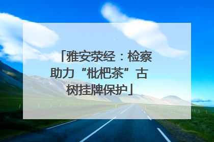 雅安荥经：检察助力“枇杷茶”古树挂牌保护