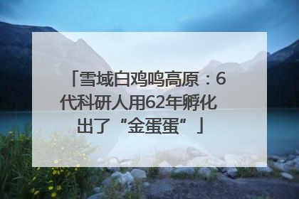 雪域白鸡鸣高原：6代科研人用62年孵化出了“金蛋蛋”