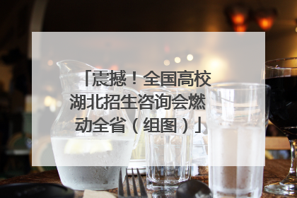 震撼！全国高校湖北招生咨询会燃动全省（组图）