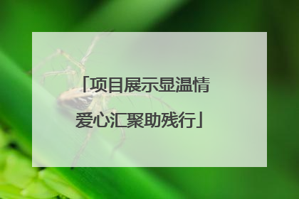 项目展示显温情 爱心汇聚助残行