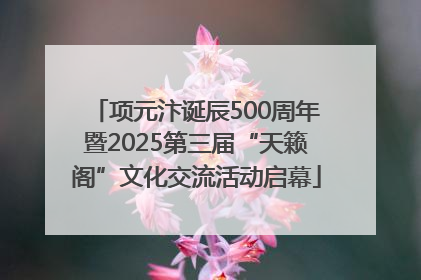项元汴诞辰500周年暨2025第三届“天籁阁”文化交流活动启幕