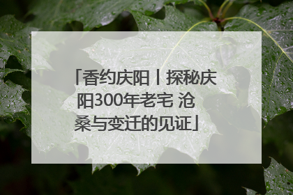 香约庆阳丨探秘庆阳300年老宅 沧桑与变迁的见证