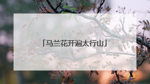 马兰花开遍太行山