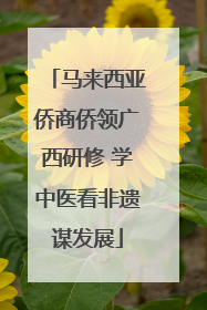 马来西亚侨商侨领广西研修 学中医看非遗谋发展