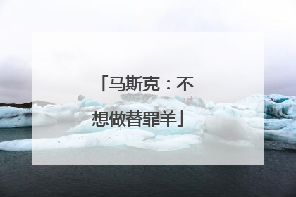马斯克：不想做替罪羊