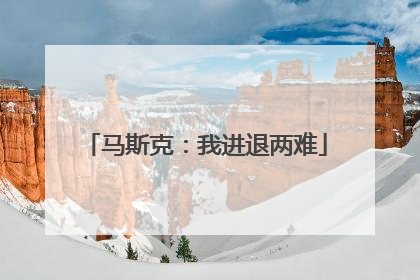 马斯克：我进退两难