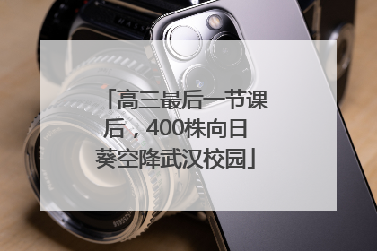 高三最后一节课后，400株向日葵空降武汉校园