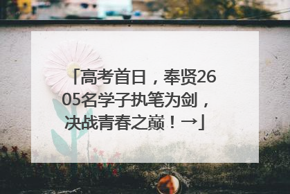 高考首日，奉贤2605名学子执笔为剑，决战青春之巅！→