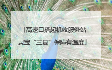 高速口搭起机收服务站 灵宝“三夏”保障有温度