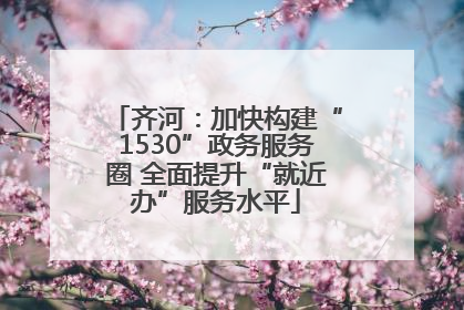 齐河：加快构建“1530”政务服务圈 全面提升“就近办”服务水平