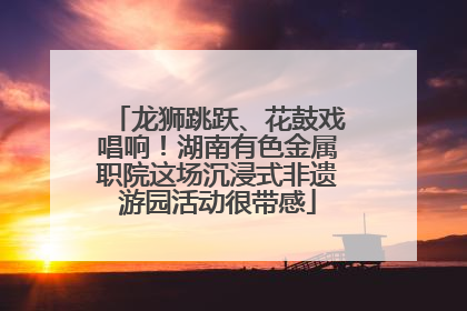 龙狮跳跃、花鼓戏唱响！湖南有色金属职院这场沉浸式非遗游园活动很带感