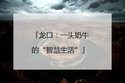 龙口：一头奶牛的“智慧生活”