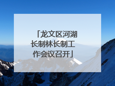 龙文区河湖长制林长制工作会议召开