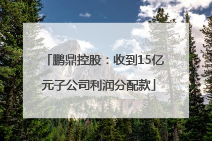鹏鼎控股：收到15亿元子公司利润分配款