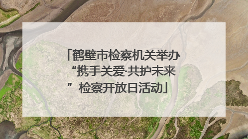 鹤壁市检察机关举办“携手关爱·共护未来”检察开放日活动