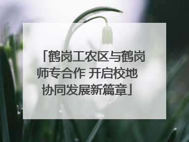 鹤岗工农区与鹤岗师专合作 开启校地协同发展新篇章