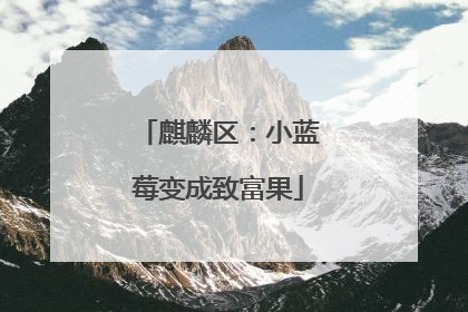 麒麟区：小蓝莓变成致富果