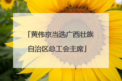 黄伟京当选广西壮族自治区总工会主席
