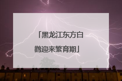 黑龙江东方白鹳迎来繁育期