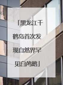 黑龙江千鹤岛首次发现自然界罕见白鸬鹚