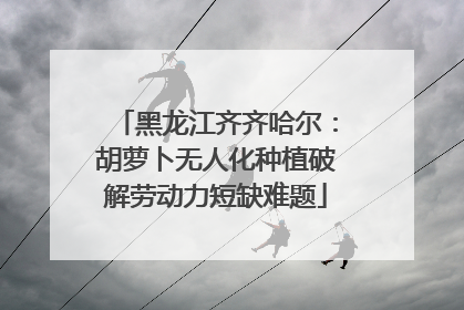 黑龙江齐齐哈尔：胡萝卜无人化种植破解劳动力短缺难题