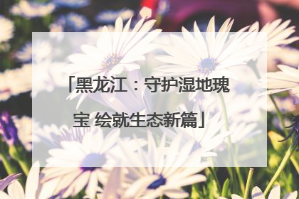 黑龙江：守护湿地瑰宝 绘就生态新篇