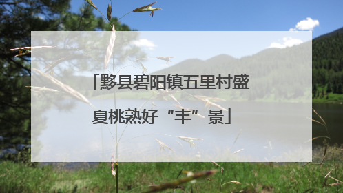 黟县碧阳镇五里村盛夏桃熟好“丰”景