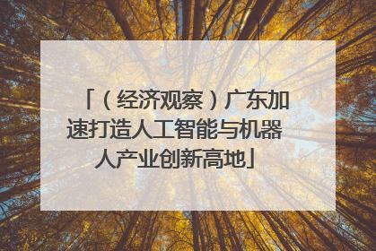 （经济观察）广东加速打造人工智能与机器人产业创新高地