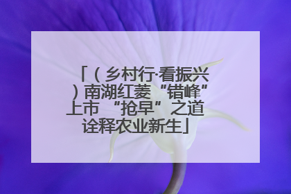 （乡村行·看振兴）南湖红菱“错峰”上市 “抢早”之道诠释农业新生