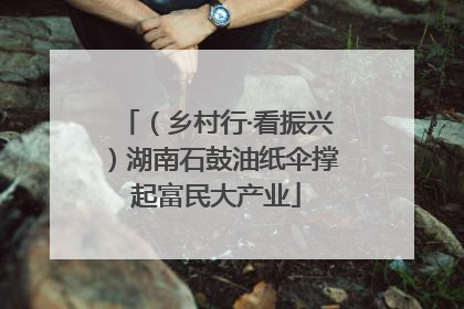 （乡村行·看振兴）湖南石鼓油纸伞撑起富民大产业