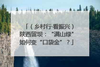 （乡村行·看振兴）陕西留坝：“满山绿”如何变“口袋金”？