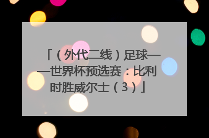 （外代二线）足球——世界杯预选赛：比利时胜威尔士（3）