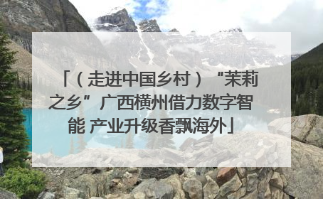 （走进中国乡村）“茉莉之乡”广西横州借力数字智能 产业升级香飘海外
