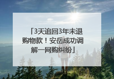 3天追回3年未退购物款！安岳成功调解一网购纠纷