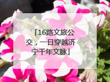 16路文旅公交，一日穿越济宁千年文脉