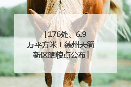 176处、6.9万平方米！德州天衢新区晒粮点公布