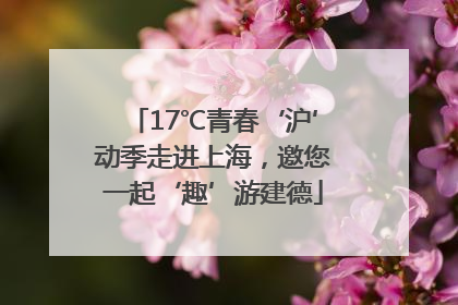 17℃青春‘沪’动季走进上海，邀您一起‘趣’游建德