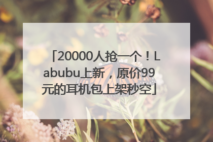 20000人抢一个！Labubu上新，原价99元的耳机包上架秒空