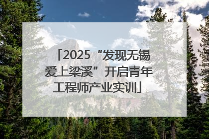 2025“发现无锡 爱上梁溪”开启青年工程师产业实训