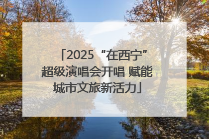 2025“在西宁”超级演唱会开唱 赋能城市文旅新活力