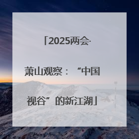 2025两会·萧山观察：“中国视谷”的新江湖