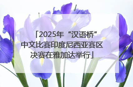 2025年“汉语桥”中文比赛印度尼西亚赛区决赛在雅加达举行