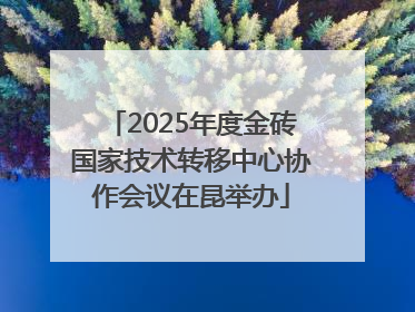 2025年度金砖国家技术转移中心协作会议在昆举办